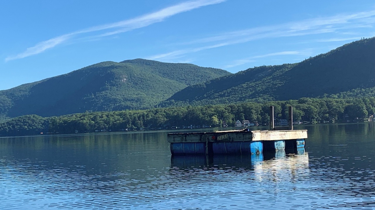 Photo of Others in Forest Dale