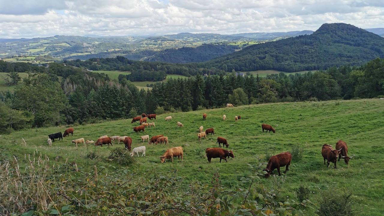 Photo of Outdoor in Champagnac