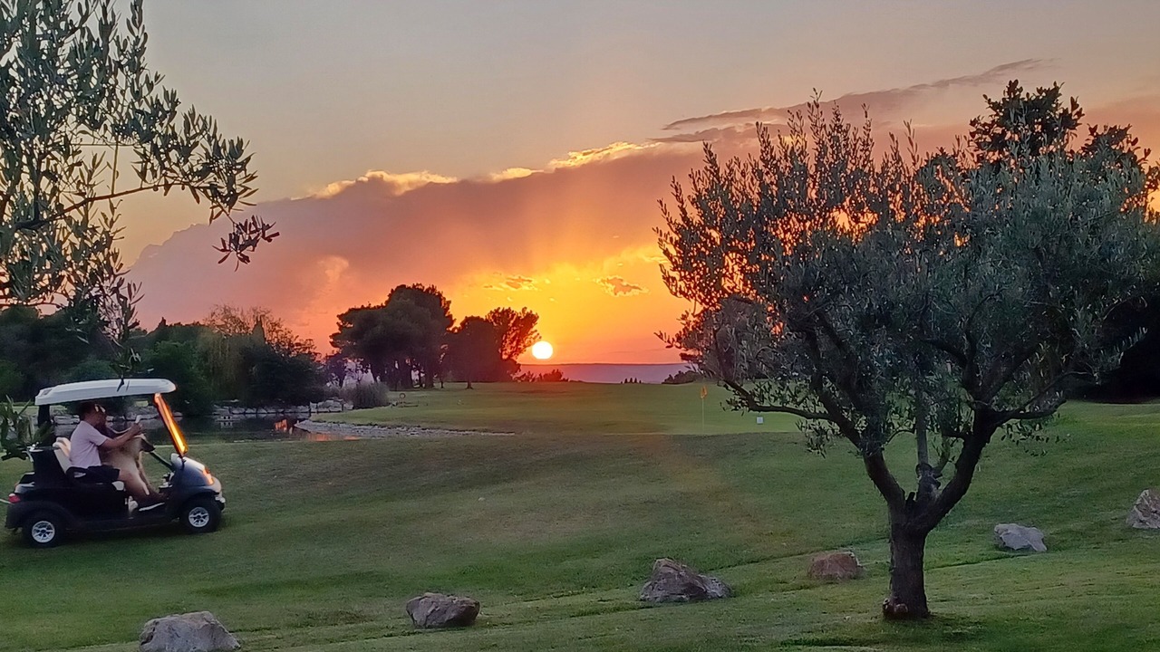 Photo of Others in Pont Royal