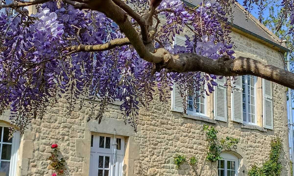 Photo of Outdoor in Valognes