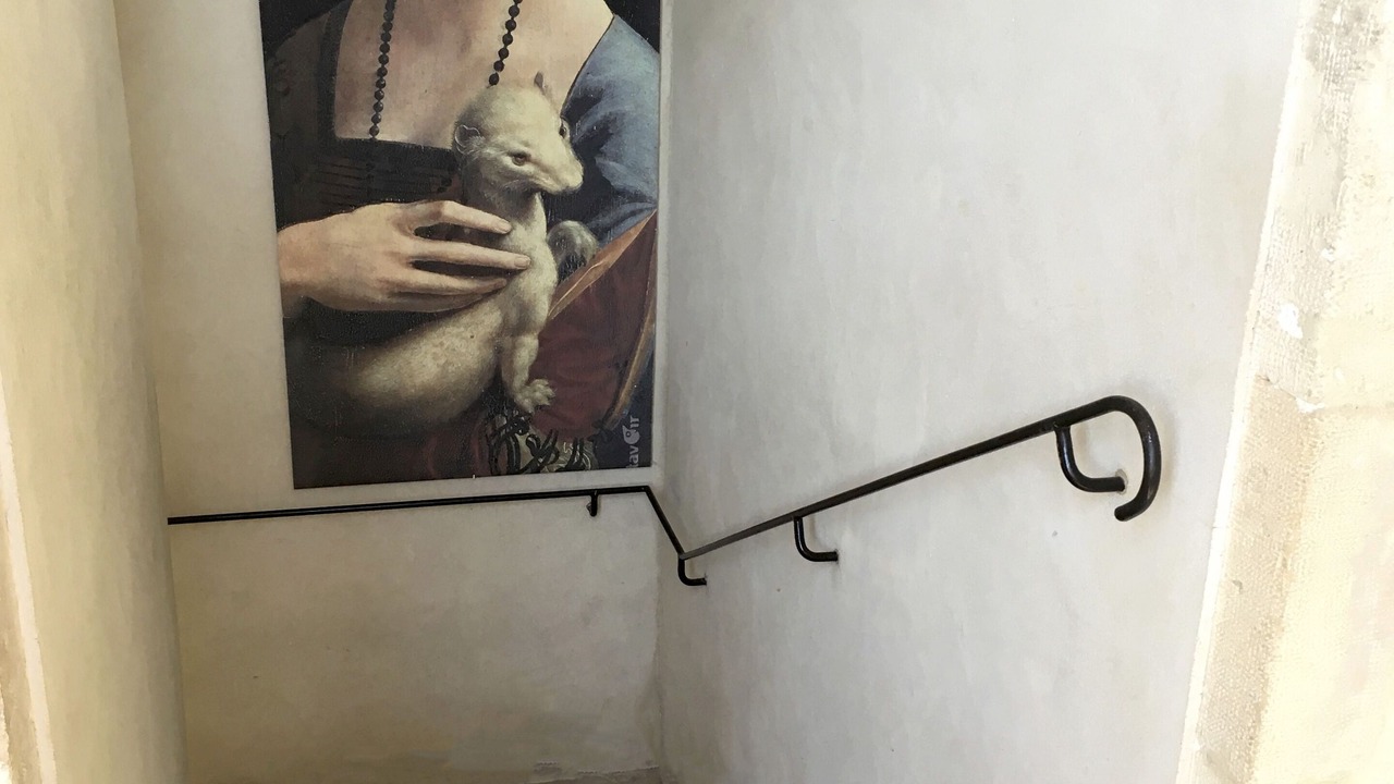 Photo of Others in Valognes