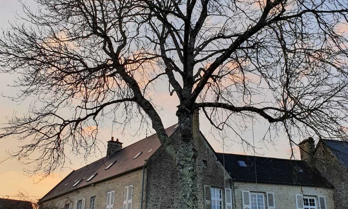 Photo of Outdoor in Valognes