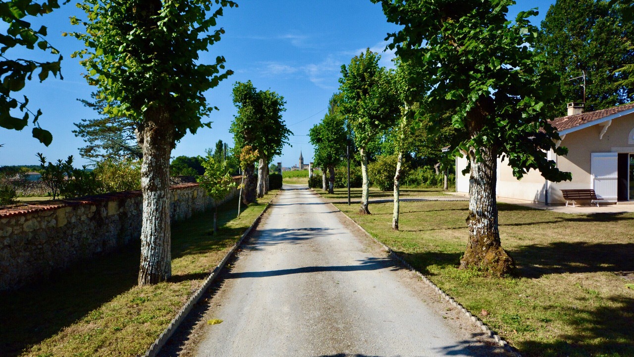 Photo of Outdoor in Martillac