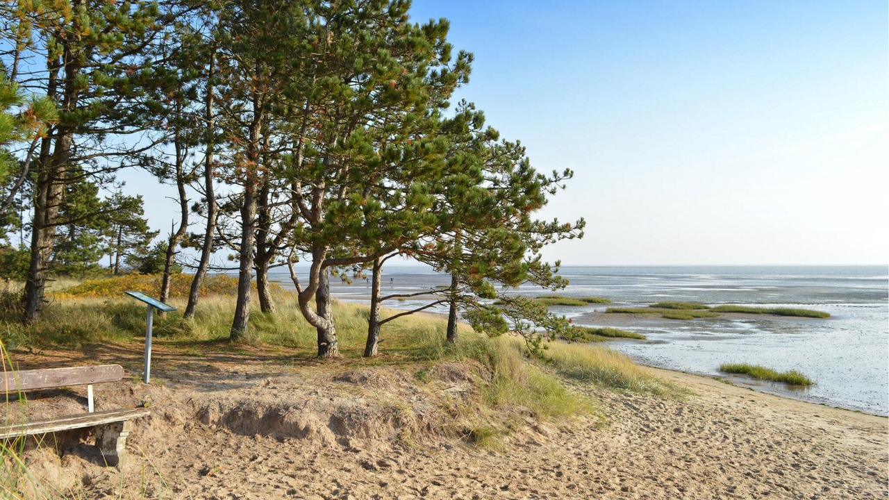 Photo of Others in Rømø Kirkeby