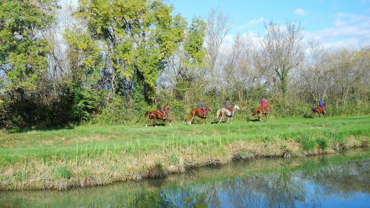 Photo of Others in Aigues-Mortes