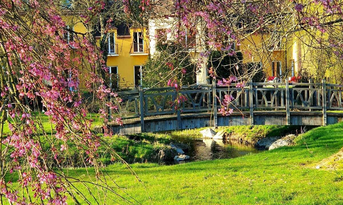 Photo of Outdoor in Montigny-le-Chartif