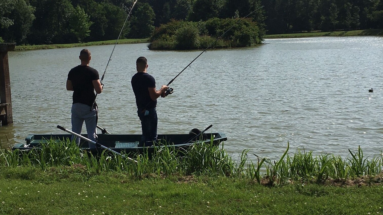 Photo of Others in Montigny-le-Chartif