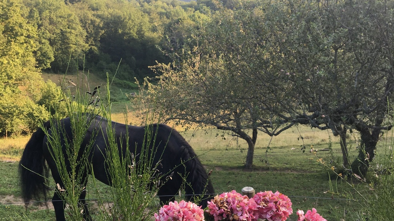 Photo of Outdoor in Chalabre