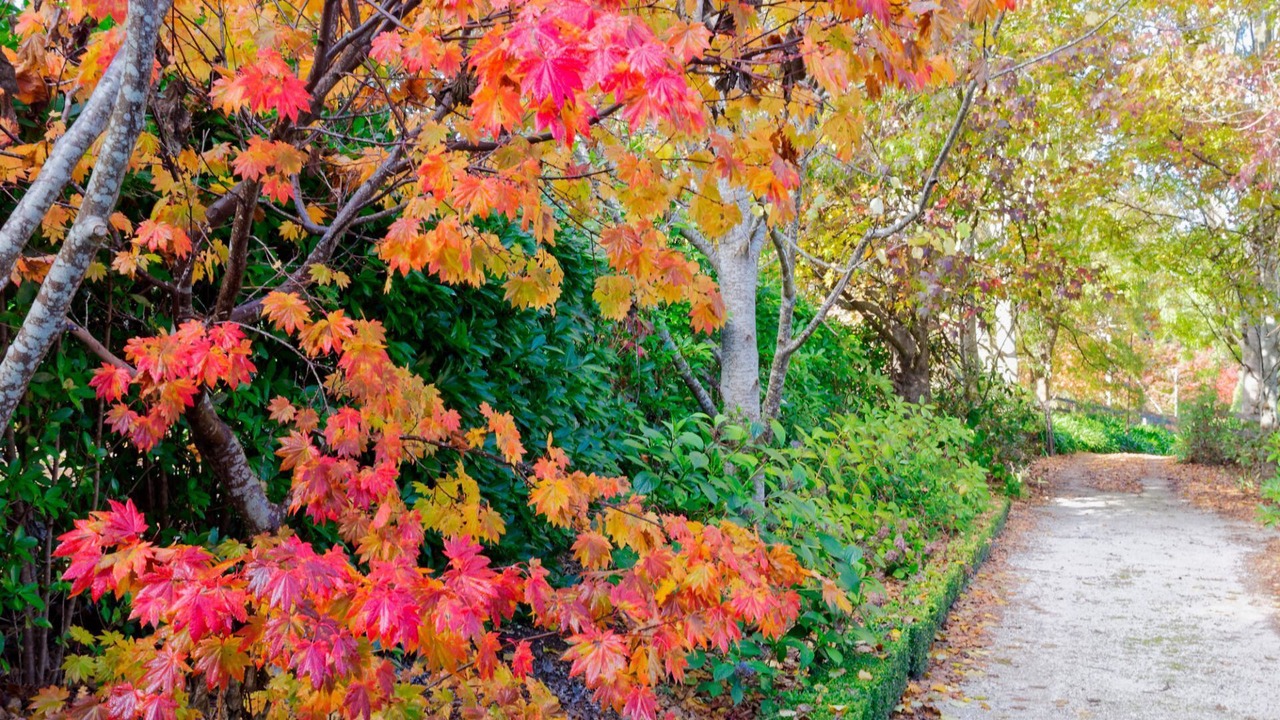 Photo of Outdoor in Wildes Meadow