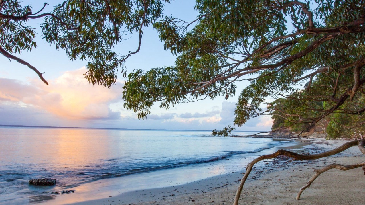 Photo of Others in Vincentia