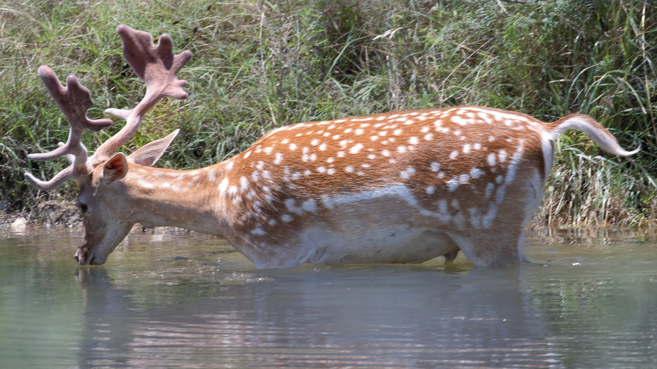Photo of Others in Lometa