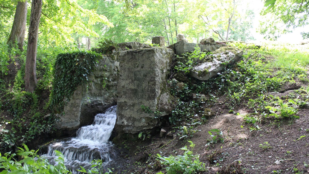 Photo of Outdoor in Cerans-Foulletourte