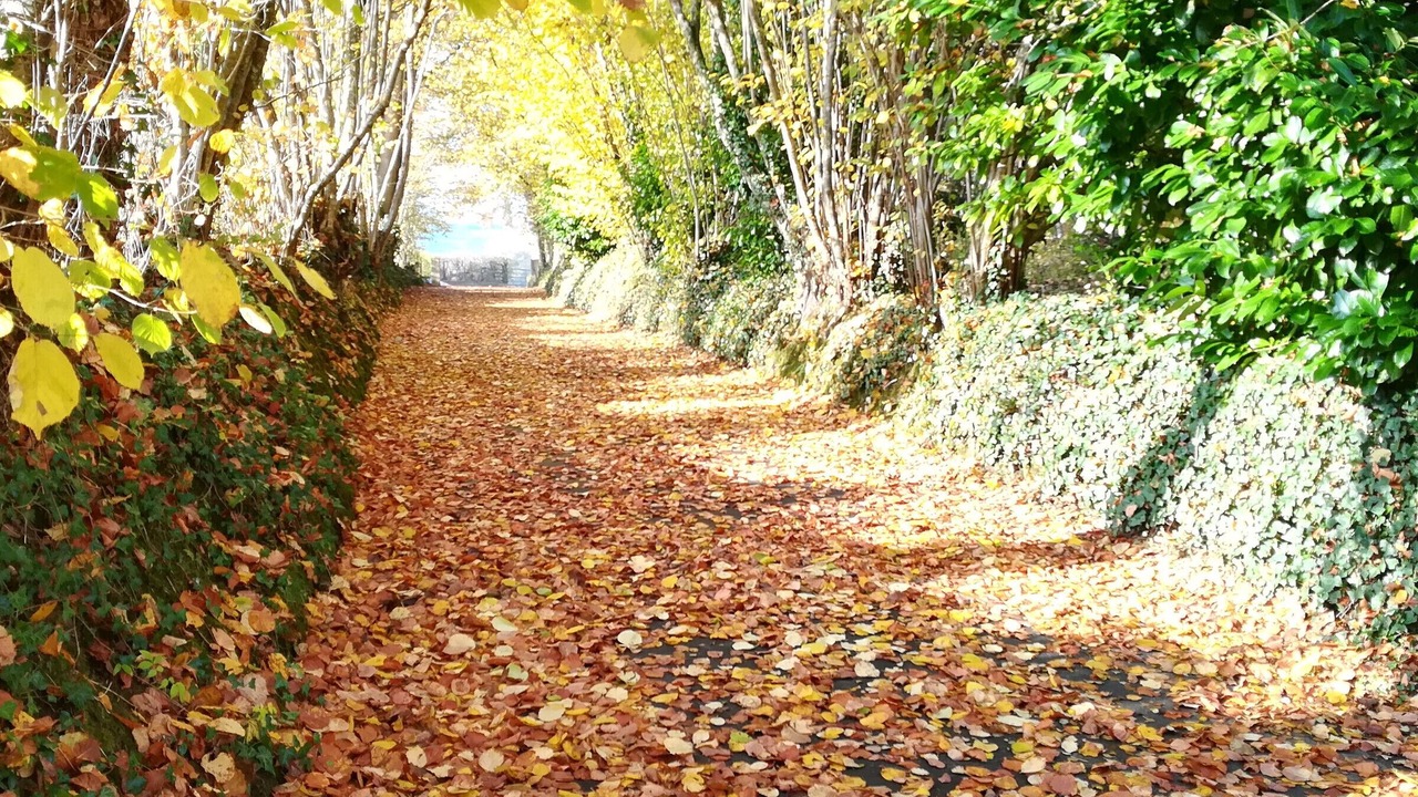 Photo of Outdoor in Coulans-sur-Gee
