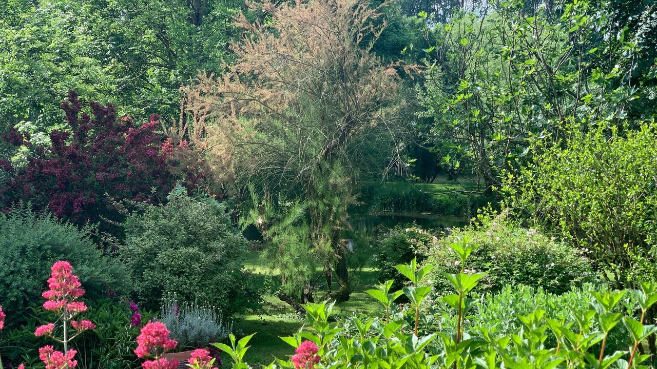 Photo of Outdoor in Chemire-le-Gaudin