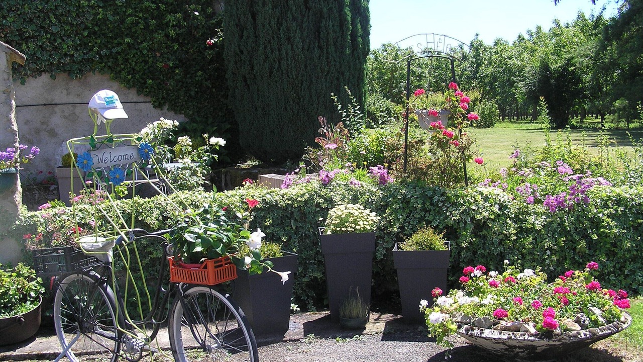 Photo of Outdoor in La Chapelle-aux-Choux