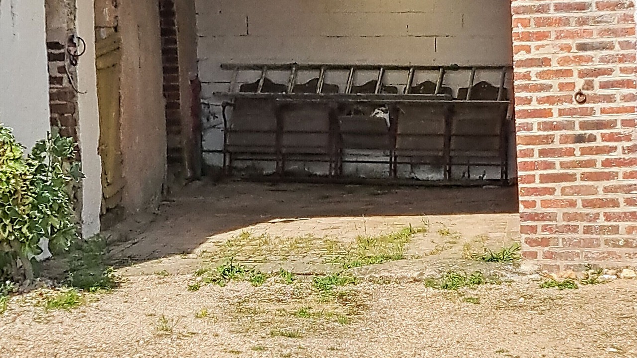 Photo of Outdoor in Loir en Vallee