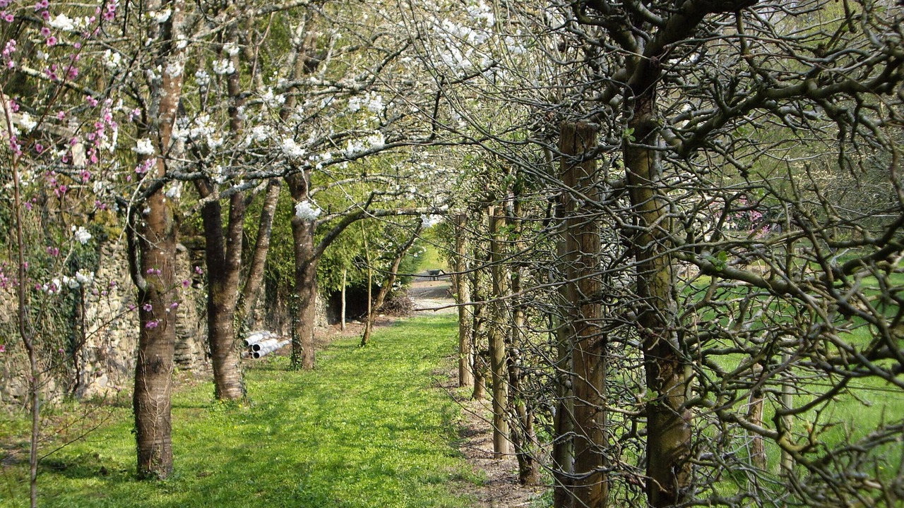 Photo of Outdoor in Rouez