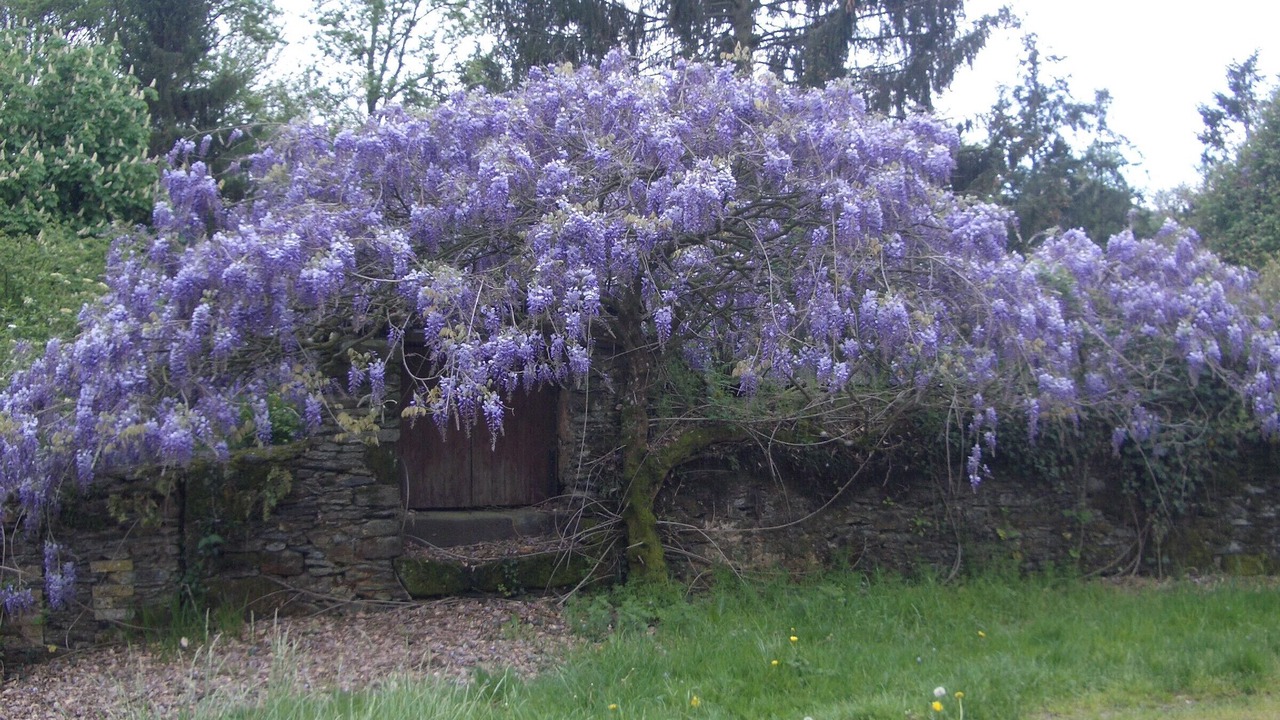 Photo of Outdoor in Rouez