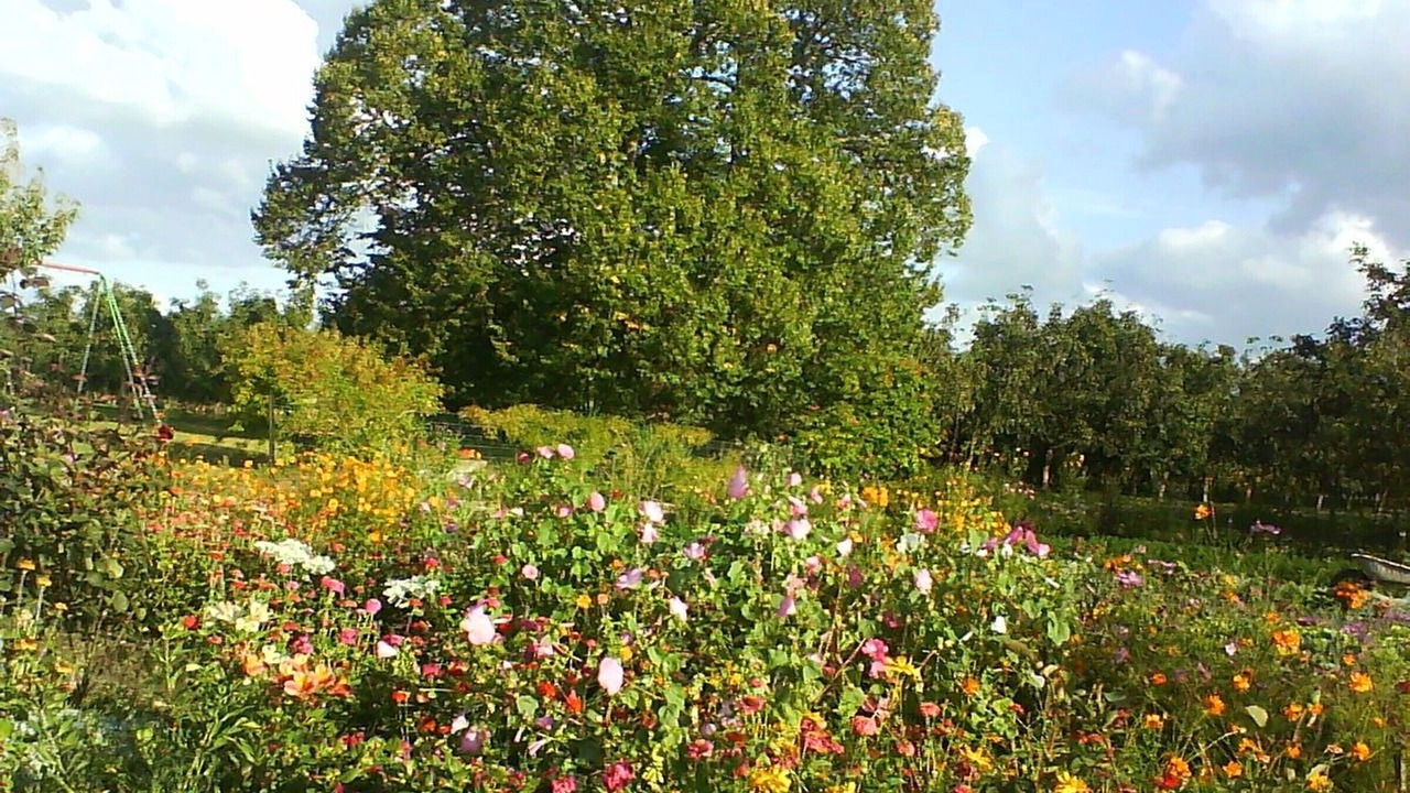 Photo of Outdoor in La Chapelle-aux-Choux