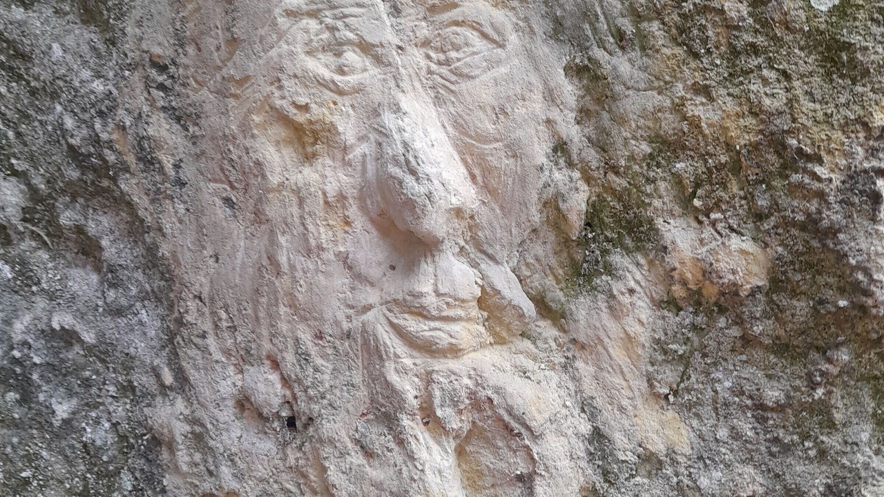 Photo of Outdoor in Aubigne-Racan