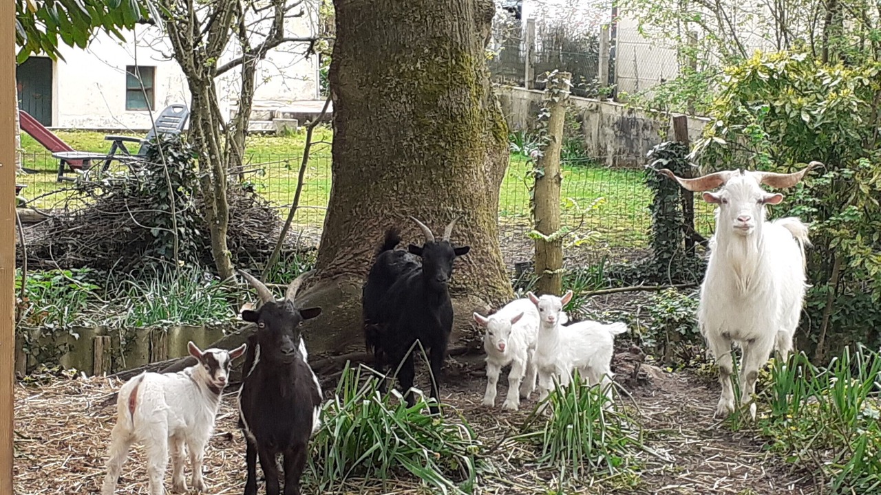 Photo of Outdoor in Cerans-Foulletourte