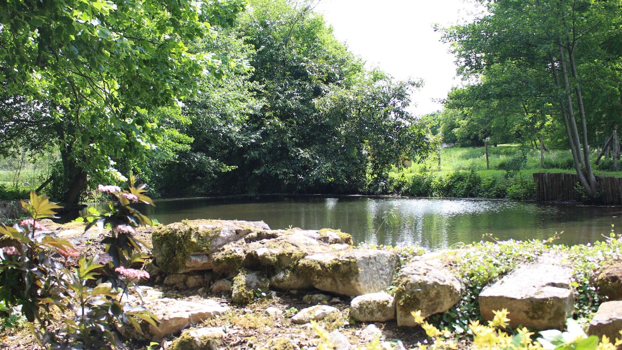 Photo of Outdoor in Cerans-Foulletourte