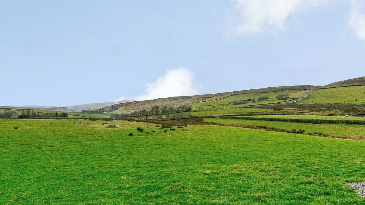 Photo of Others in Little Hayfield