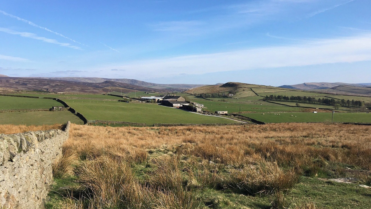 Photo of Others in Little Hayfield