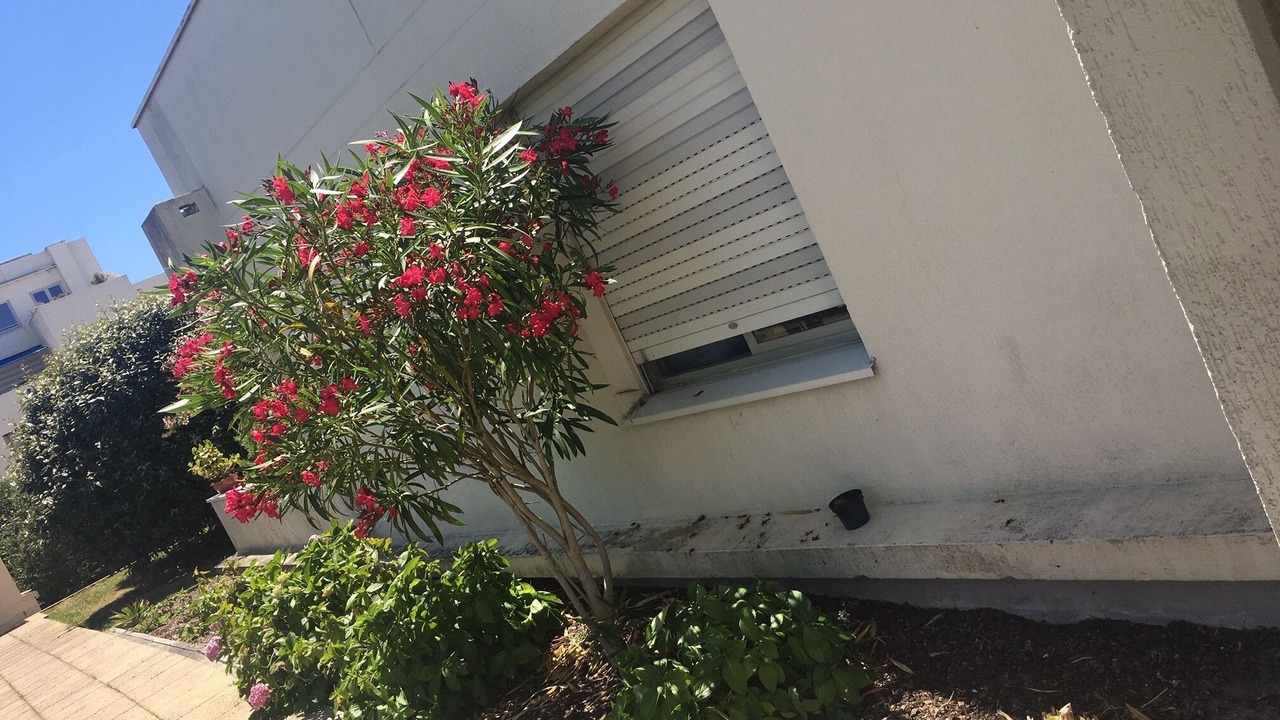 Photo of Outdoor in Arcachon