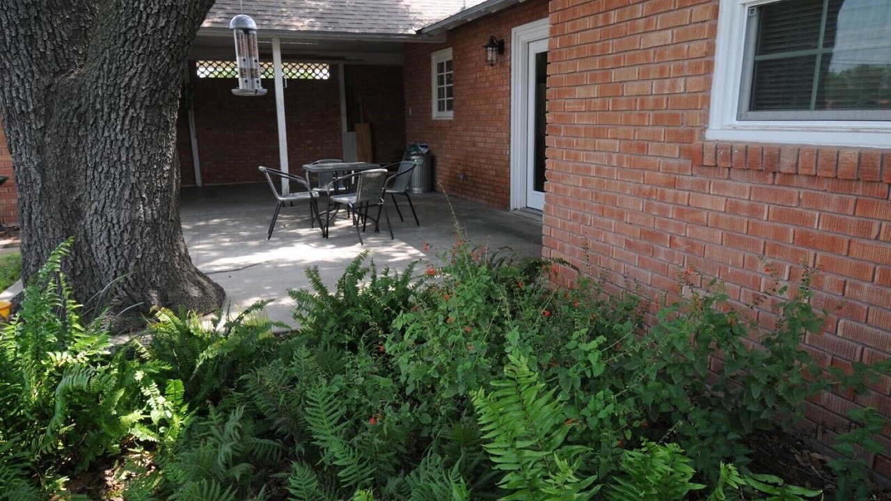 Photo of Outdoor in Kingsville