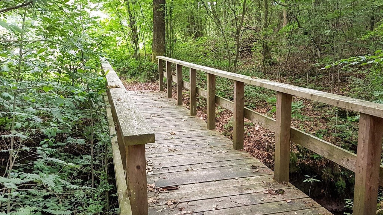 Photo of Outdoor in Arrild Ferieby