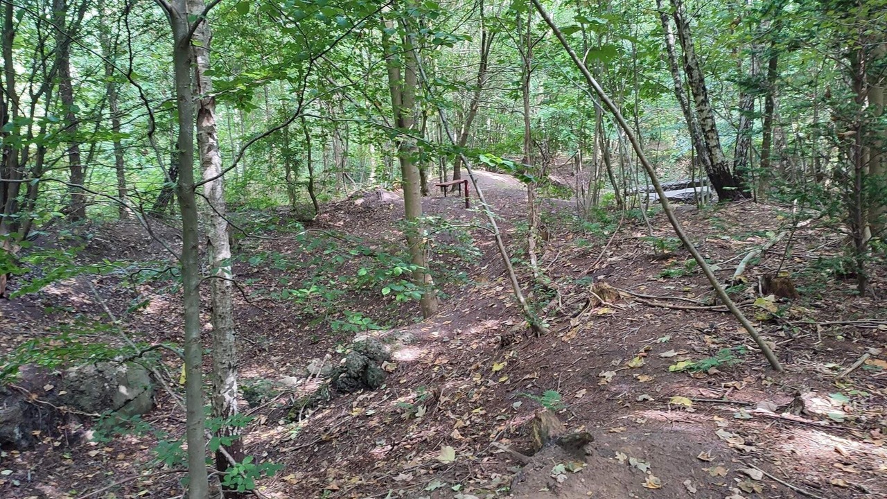 Photo of Others in Arrild Ferieby