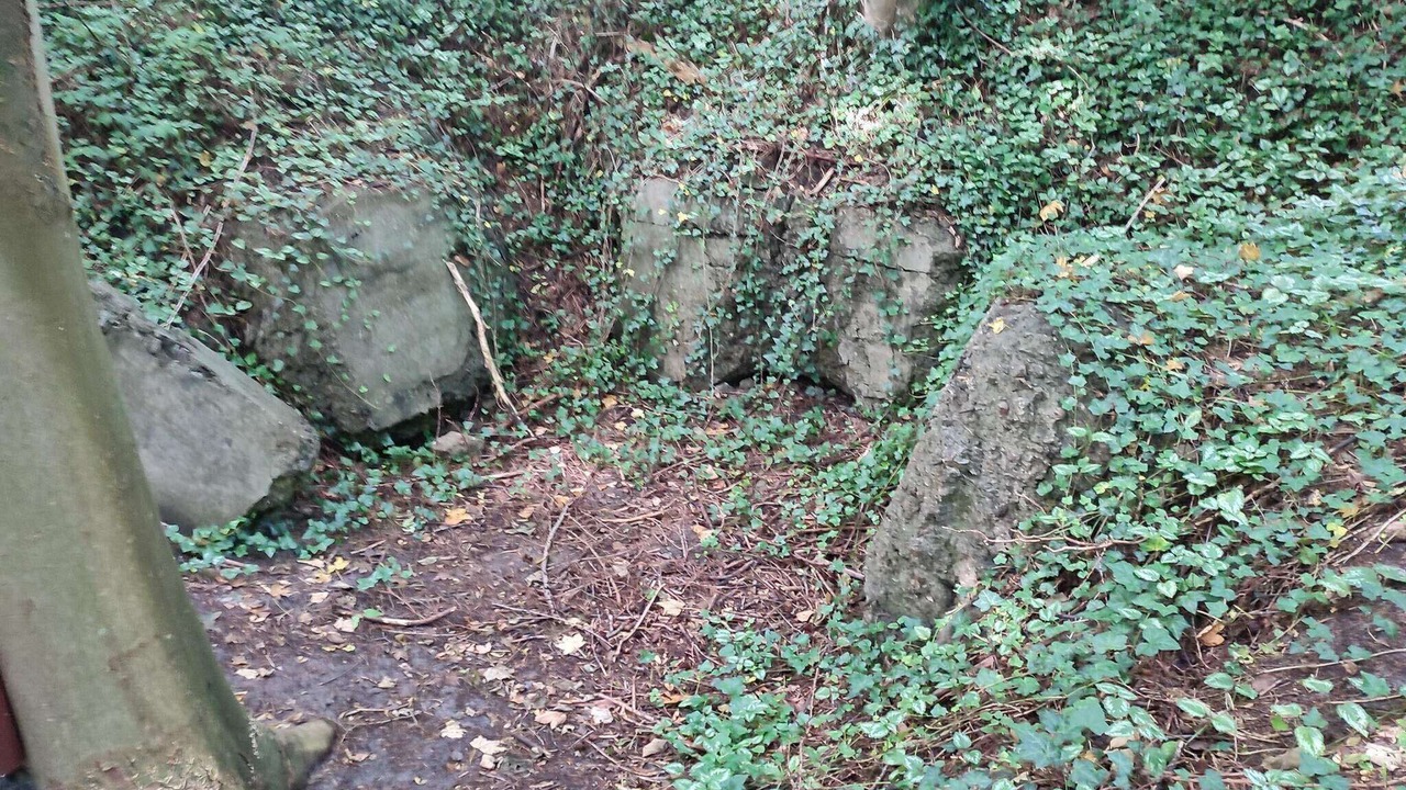 Photo of Outdoor in Arrild Ferieby