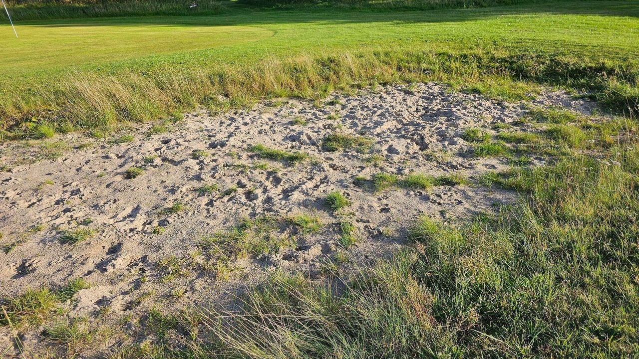 Photo of Others in Arrild Ferieby