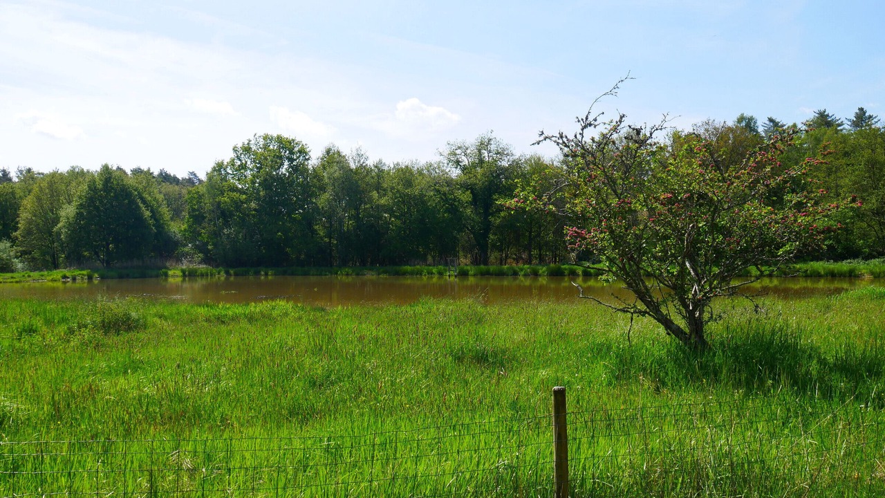 Photo of Others in Ligny-le-Ribault