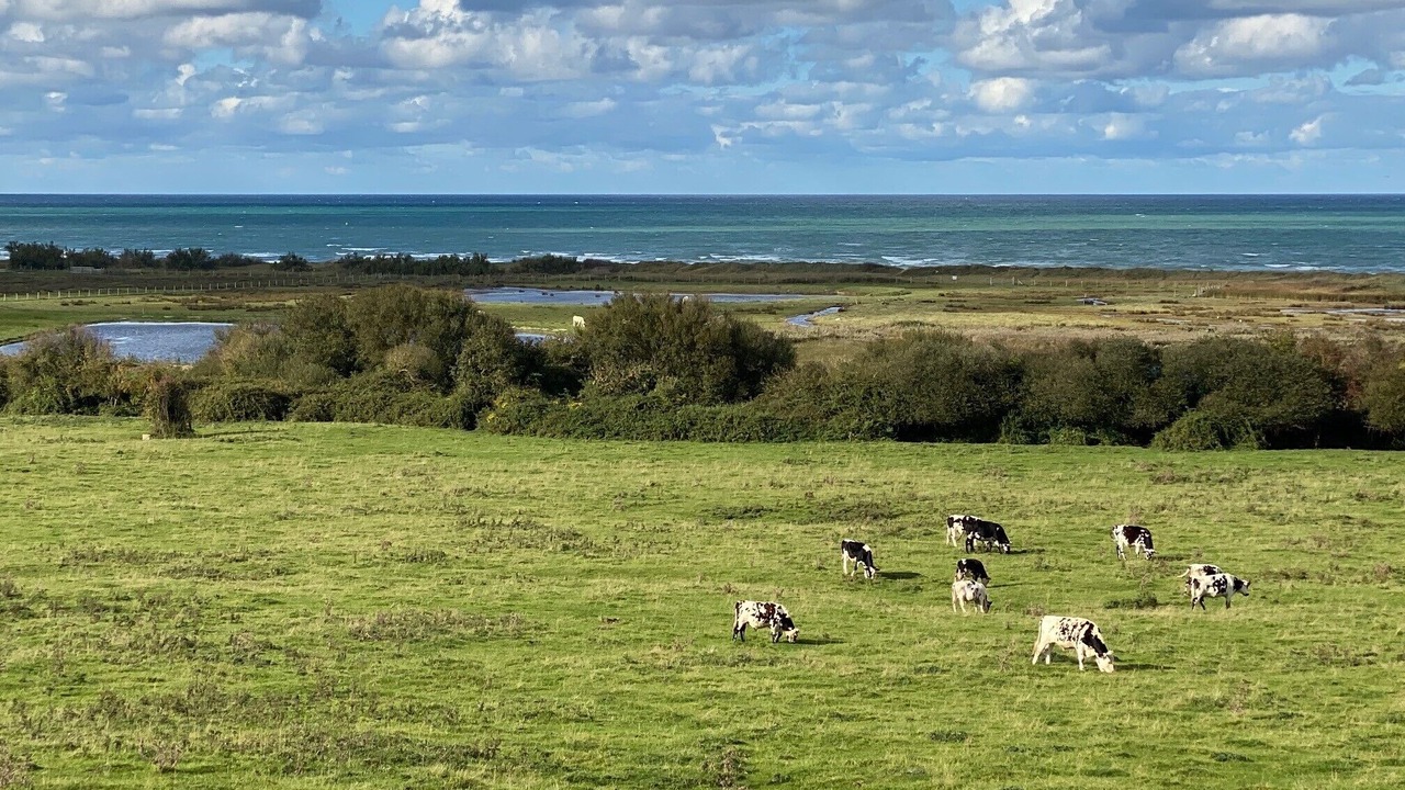 Photo of Others in Saint-Come-de-Fresne
