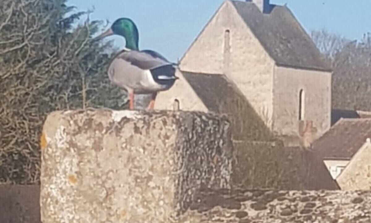 Photo of Outdoor in Autouillet