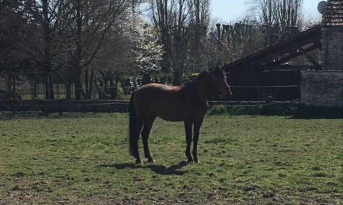 Photo of Outdoor in Autouillet
