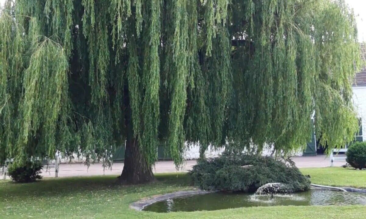 Photo of Outdoor in Autouillet