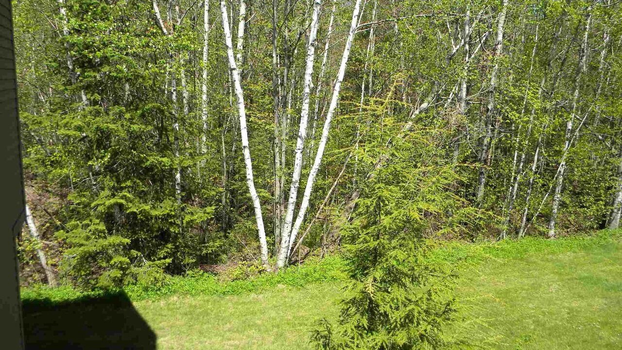 Photo of Outdoor in Waterville Valley