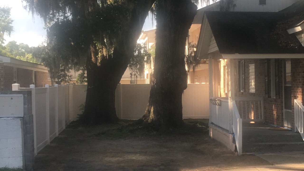 Photo of Outdoor in Conway