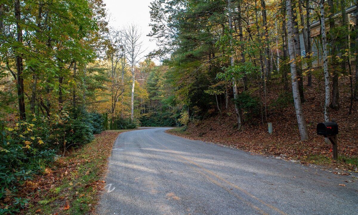 Photo of Others in Pisgah Forest