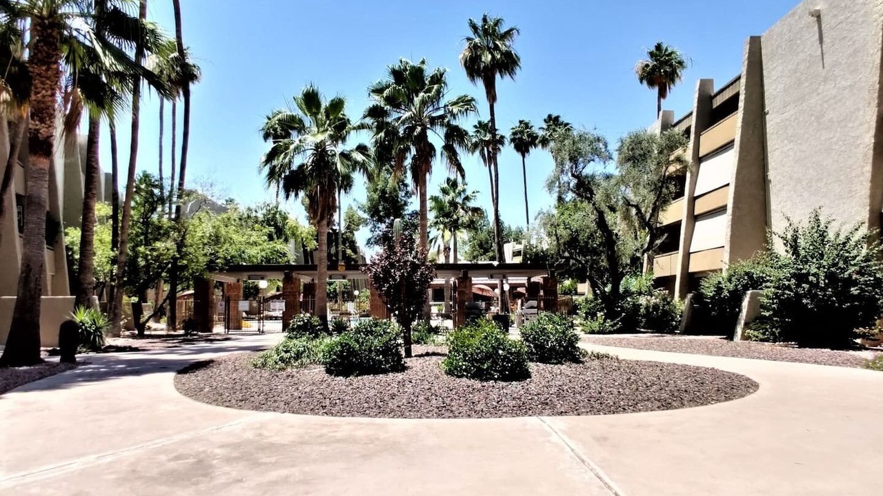 Photo of Others in South Scottsdale