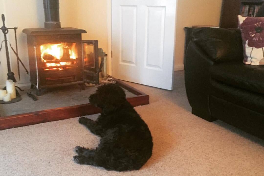 Photo of Others in Porlock