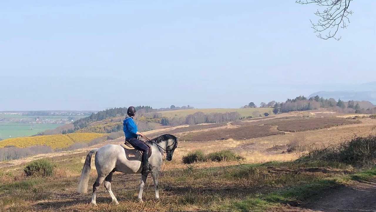 Photo of Outdoor in Porlock