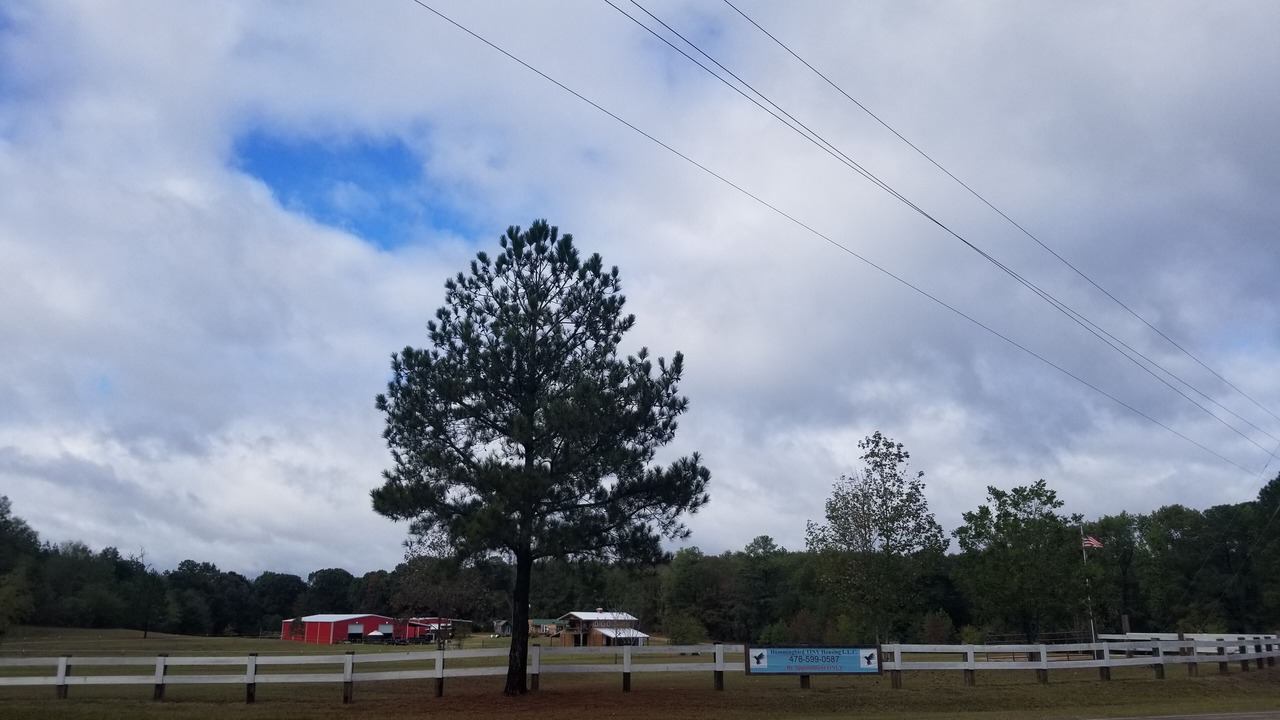 Photo of Others in Georgia Coast