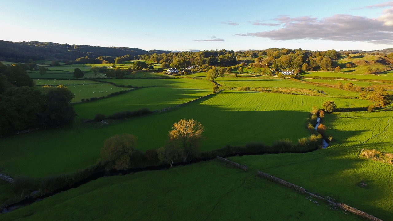 Photo of Others in Bowland Bridge