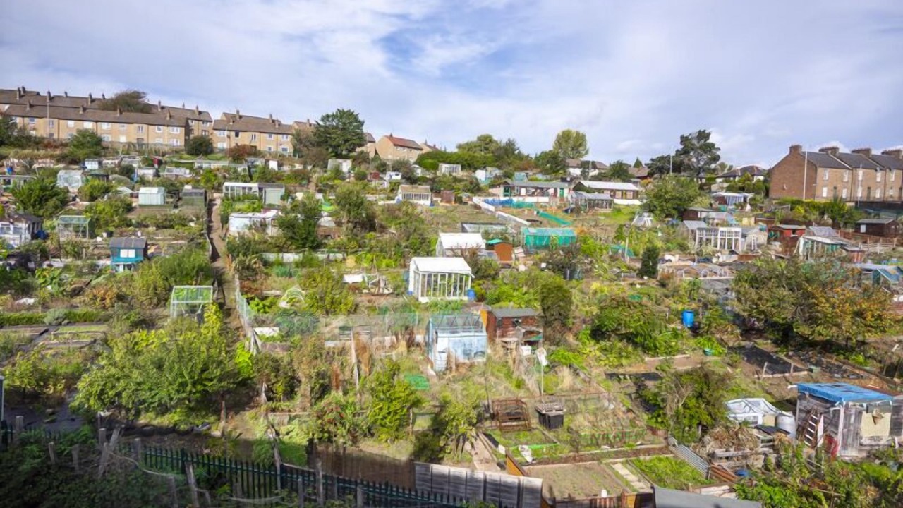 Photo of Others in Glenisla