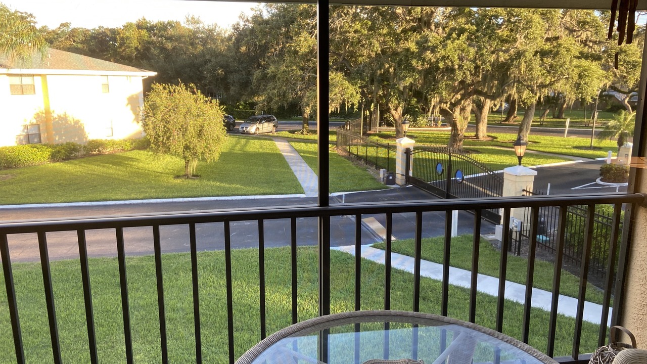 Photo of Outdoor in Pinellas Point
