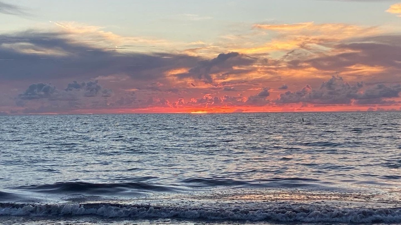Photo of Others in Pinellas Point